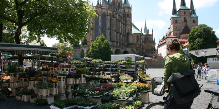 Ein Wochenmarktstand, im Hintergrund der Dom, vorn eine Radfahrerin