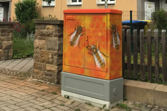 Graffiti-Projekt gestaltet mit Naturmotiv Honigbienen und Wabe