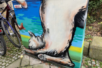 Graffiti-Projekt Medienkasten auf dem eine Katze nach einem Fisch angelt.