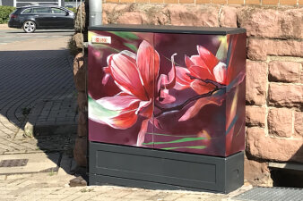 Graffiti-Projekt Medienkasten gestaltet mit Blumenmotiv Magnolie
