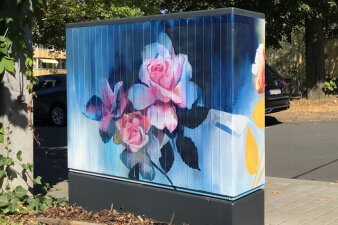 Graffiti-Projekt Medienkasten gestaltet mit Blumenmotiv Rosen