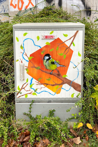 Graffiti-Projekt Medienkasten gestaltet mit farbigem Fünfeck und einem Vogel