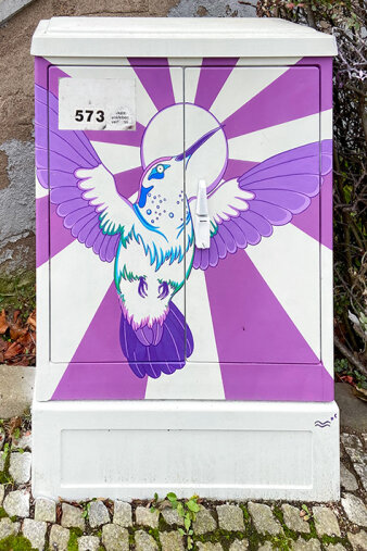 Graffiti-Projekt Medienkasten gestaltet mit einem lila farbenden Kolibri vor einer Sonne.