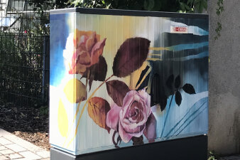 Graffiti-Projekt Medienkasten gestaltet mit Blumenmotiv Rosen