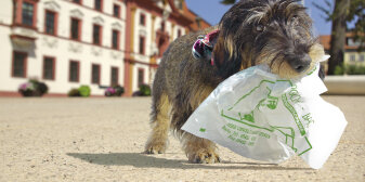 <Interner Verweis: Erfurt für Hundebesitzer