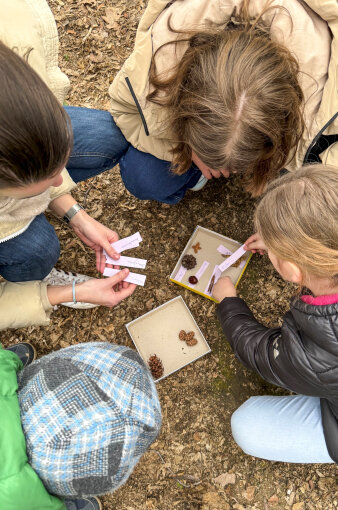 Kinder entdecken die Natur bei eine Waldrallye