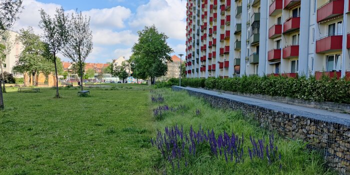 Ein Hochhaus mit Balkonen, daran genzt sich eine Grünfläche mit kleinen Bäumen